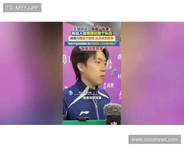 王楚钦谈心态把握展望卢伟为